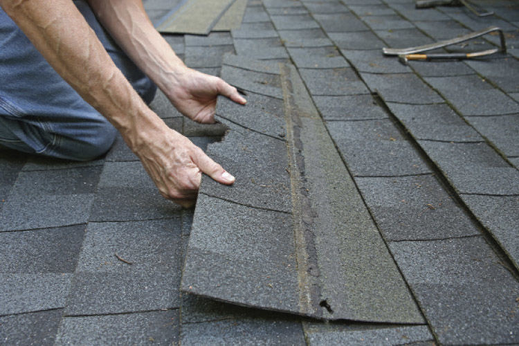 Shingle Roof Installation - Archcraft Exteriors Process