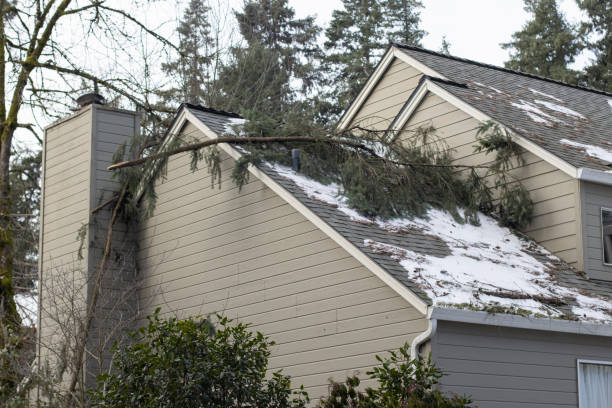Storm Damage Insurance Claims